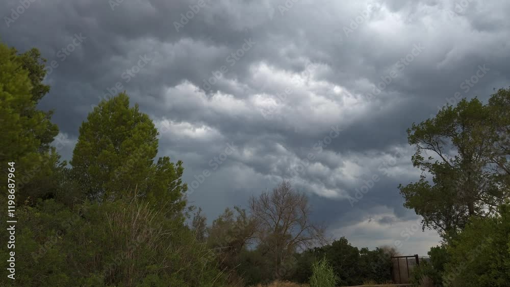 Dark grey storm clouds gathering menacingly over green trees and bushes, building dramatic tension with impending atmospheric pressure and ominous weather conditions Dark grey storm clouds gathering menacingly over green trees and bushes, building dramatic tension with impending atmospheric pressure and ominous weather conditions
