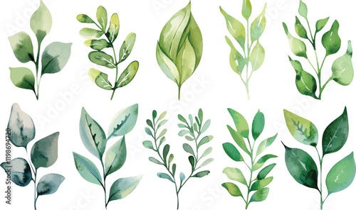 Set of green watercolor leaves on isolated background. Green leaf branches collection. Watercolor floral set. Leaf branches for greetings, fashion, eucalyptus, olive, cloth, print, invitation, card
