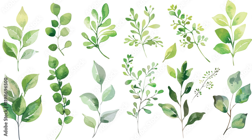 Fototapeta premium Set of green watercolor leaves on isolated background. Green leaf branches collection. Watercolor floral set. Leaf branches for greetings, fashion, eucalyptus, olive, cloth, print, invitation, card