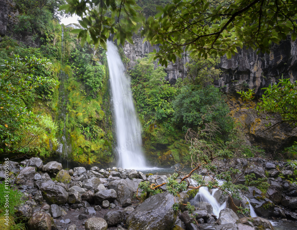 Fototapeta premium Dawson Falls in the rain. Egmont National Park. Taranaki.