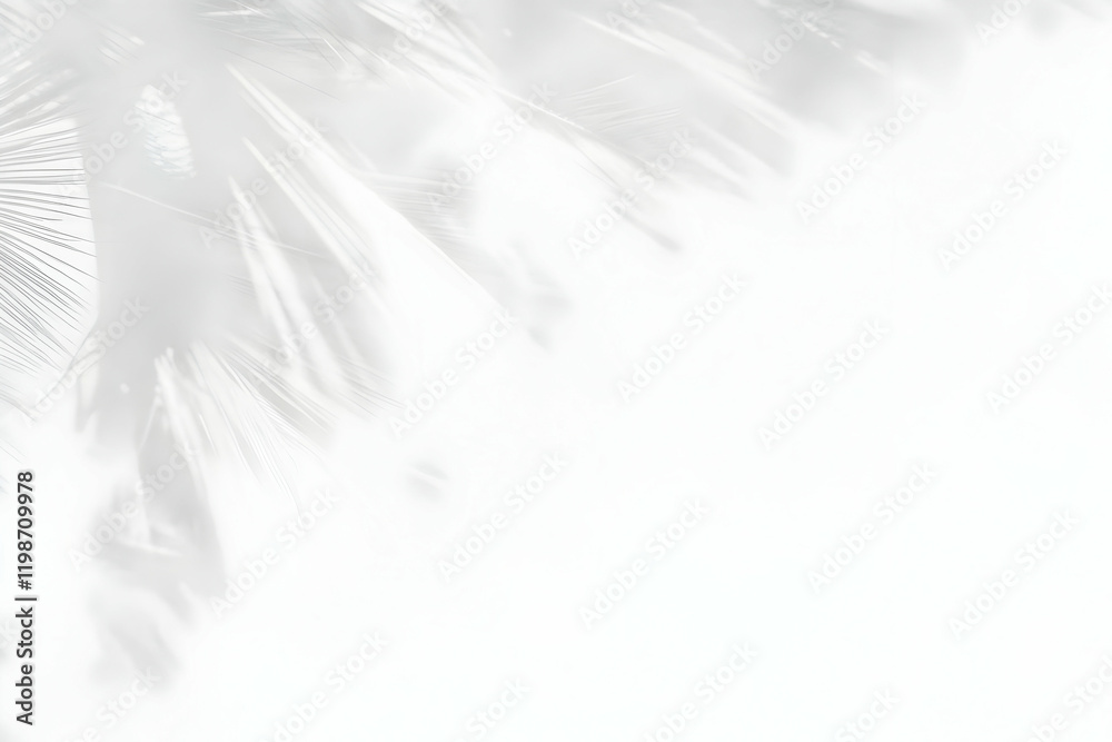 Obraz premium White Feather Close-up Creates a Soft, Delicate Background with Elegant Texture