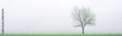 Solitary Tree in Mist: A si...