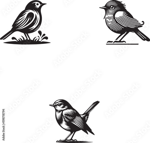 Rubin Silhouette Collection - Vector Illustrations in Black and White