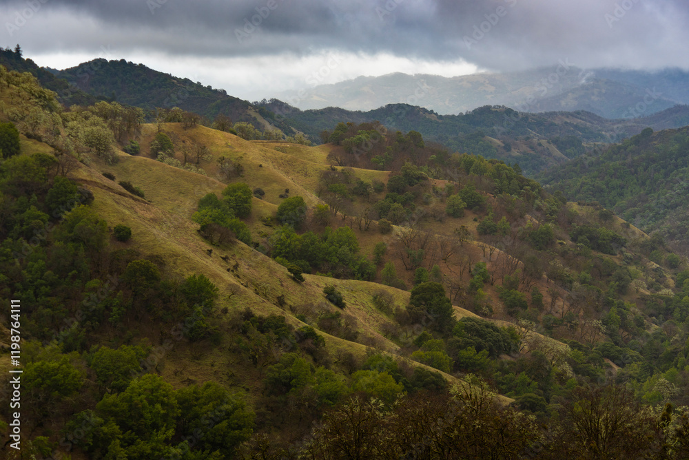 Naklejka premium Spring Mountain Landscape in Mendocino