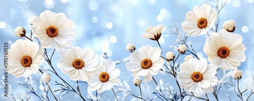 White flowers with green stems on a blue background creating a vibrant floral composition