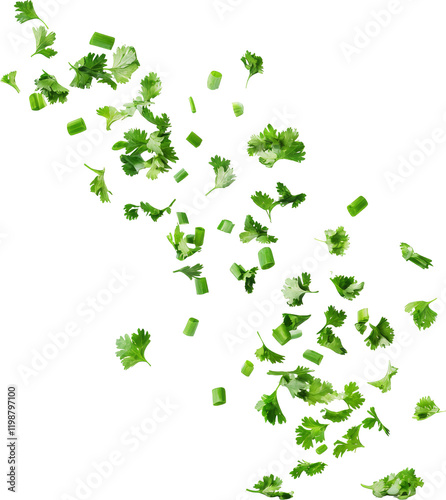 coriander falling 