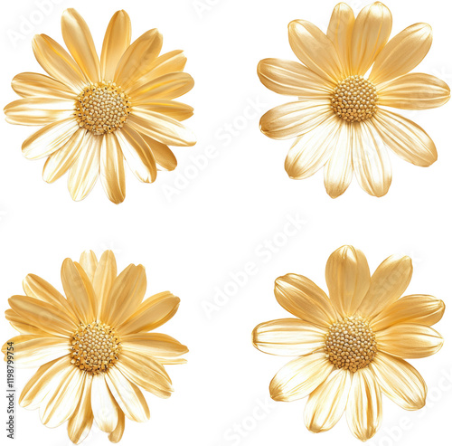 golden daisy flower ,daisy made of gold  photo