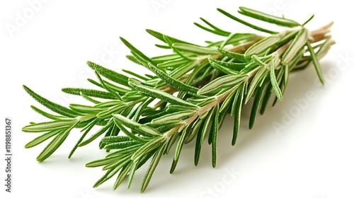 a pile of green leaves photo