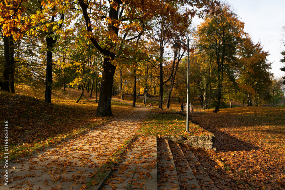 Sosnowiec. Park Dietla jesienią.