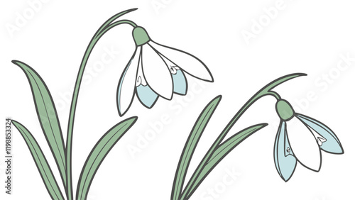Light Blue Snowdrop Watercolor Illustration with Serene Beauty. Perfect for: Spring, Nature