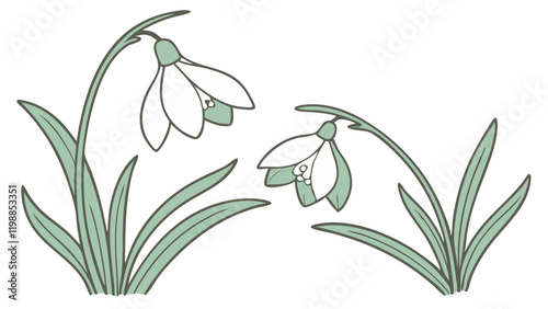 Light Blue Snowdrop Watercolor Illustration with Serene Beauty. Perfect for: Spring, Nature