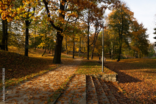 Obraz na płótnie Sosnowiec. Park Dietla jesienią. w salonie