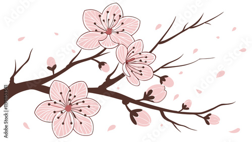 Pink Cherry Blossoms Watercolor Illustration with Delicate Branches. Perfect for: Spring, Weddings