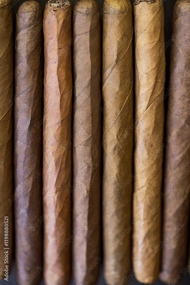 Row of cigars displayed on a shelf Row of cigars displayed on a shelf