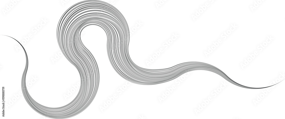 Decorative swirl of line. Intertwined curved lines .Abstract flow linear fluid shapes .Curly design element. Music sound wave . Swirl calligraphic flourish divider ornament design. Curve lines Vector 