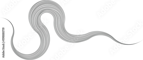 Decorative swirl of line. Intertwined curved lines .Abstract flow linear fluid shapes .Curly design element. Music sound wave . Swirl calligraphic flourish divider ornament design. Curve lines Vector 