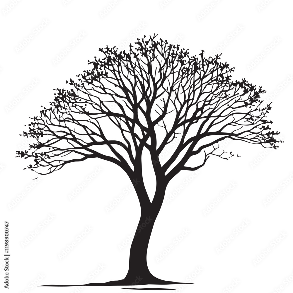 Obraz premium Bare Tree for Winter or Autumn Design