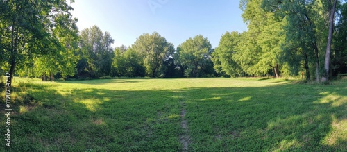 Panoramic view of a green park with trees and open grassy field under clear blue sky Copy Space