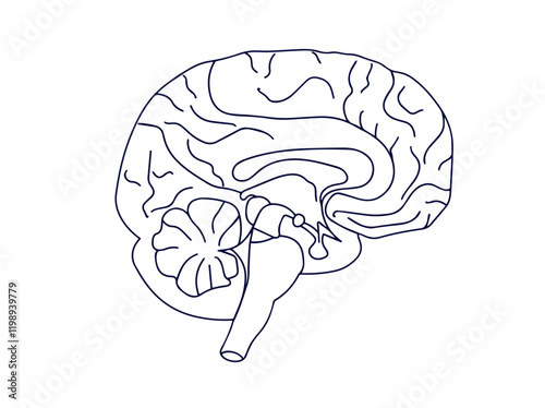 Brain icon set