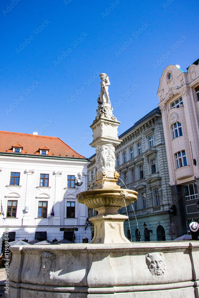 Obraz premium fountain with a statue on the square in the center of the city, running water, stucco, elegant houses, baroque style, five-three-story, cozy, wide, roofs, Europe, trees, center, travel,