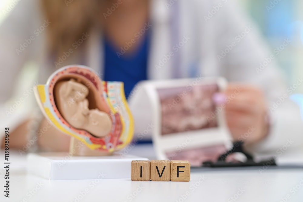 This image showcases a closeup of IVF concepts featuring a model of a fetus alongside ultrasound images in a clinic