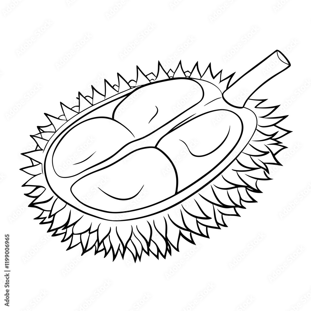 Fototapeta premium Durian