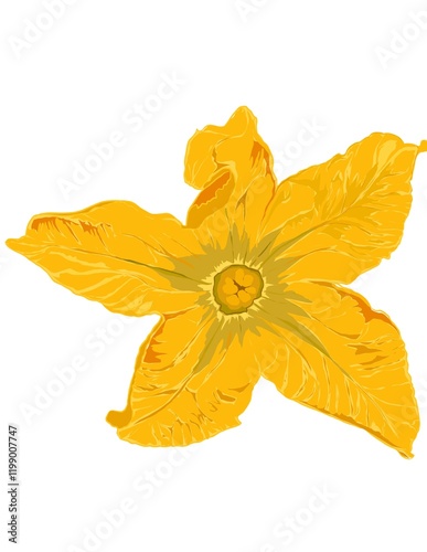 watercolor painting of yellow flower, illustration of zucchini flower