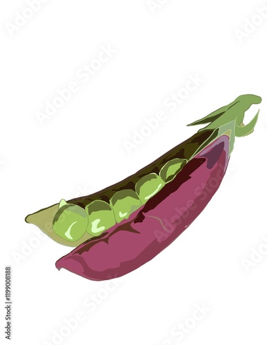 Illustration of peas in a pod on a white background.