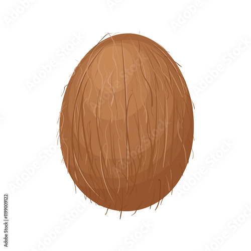 Coconut. The fruit of the coconut tree. Coconut. A cartoon-style tropical fruit. The vector illustration is isolated on a white background.