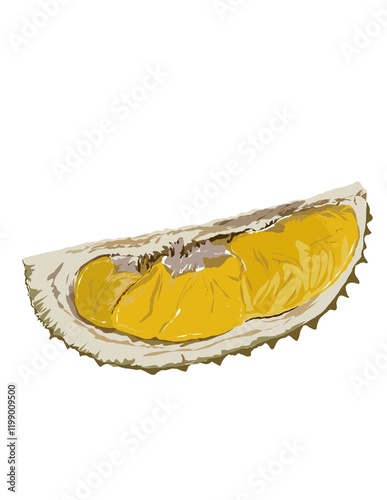 Illustration of King of Tropical fruits also known as Durian. Golden yellow of Durian's pulp. Popular fruits in Malaysia, Indonesia and Thailand.