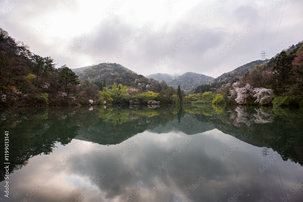 A beautiful scenery with reflection and light in the cherry blossom lake A beautiful scenery with reflection and light in the cherry blossom lake