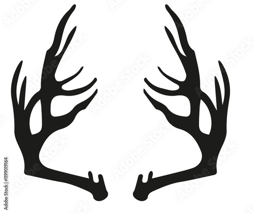 Geweih, Hirsch, Reh, Outdoor - Vektor