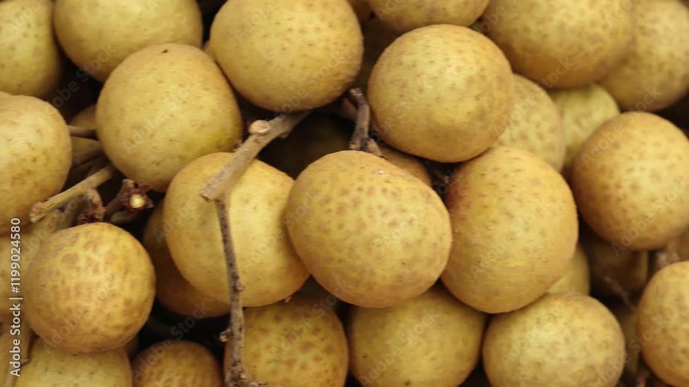 BANGKOK, THAILAND : Longan fruits sold at the market. BANGKOK, THAILAND : Longan fruits sold at the market.
