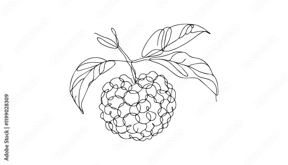 illustration of grapes illustration of grapes