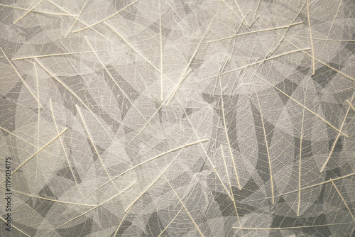 the gray texture of the background in the style of plant leaves