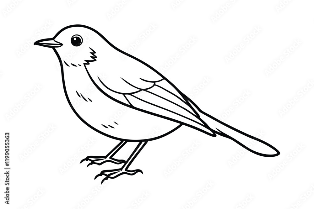 A cute Robin hand drawing clean line art illustration.eps A cute Robin hand drawing clean line art illustration.eps