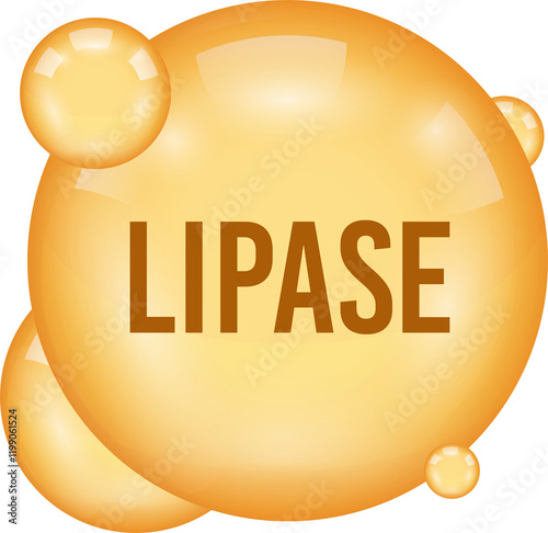 lipase