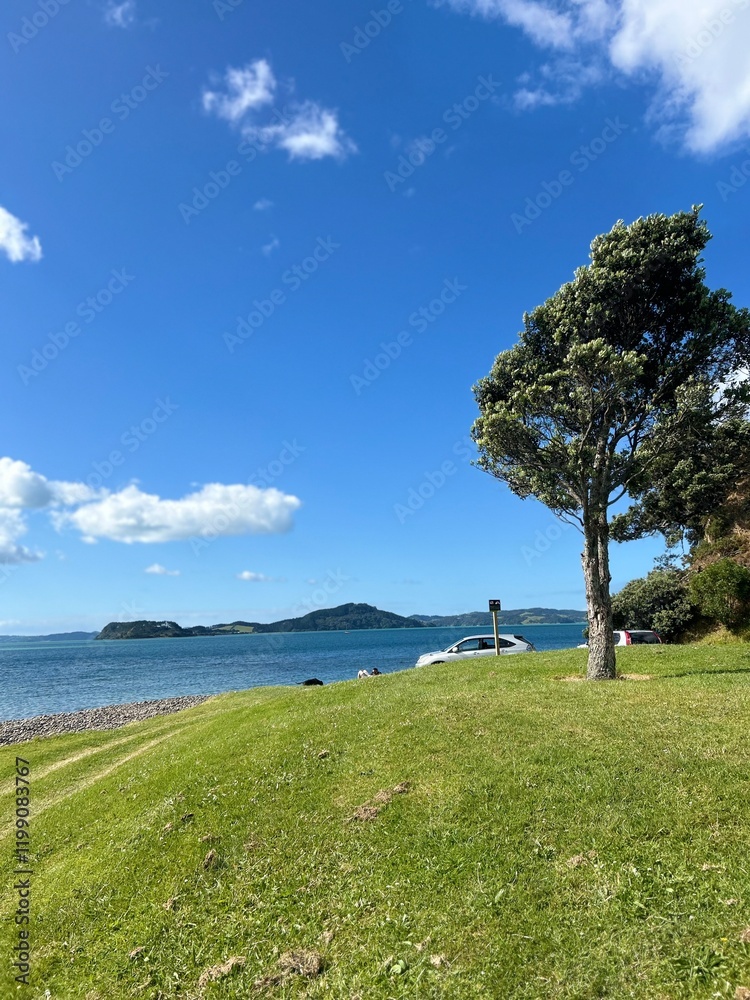 Glimpse of New Zealand’s countryside summer. Glimpse of New Zealand’s countryside summer.