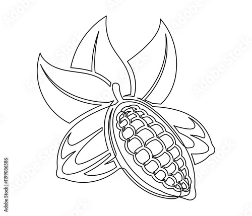 Cacao beans branch with leaves line