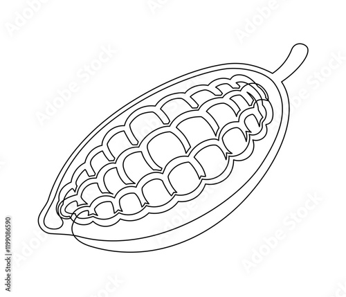Cacao beans plant line isolated on white background