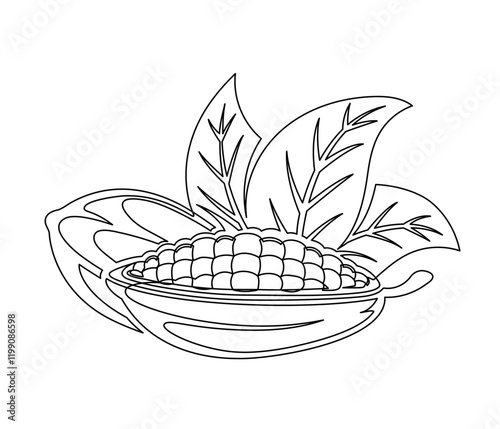 Cacao beans branch with leaves line