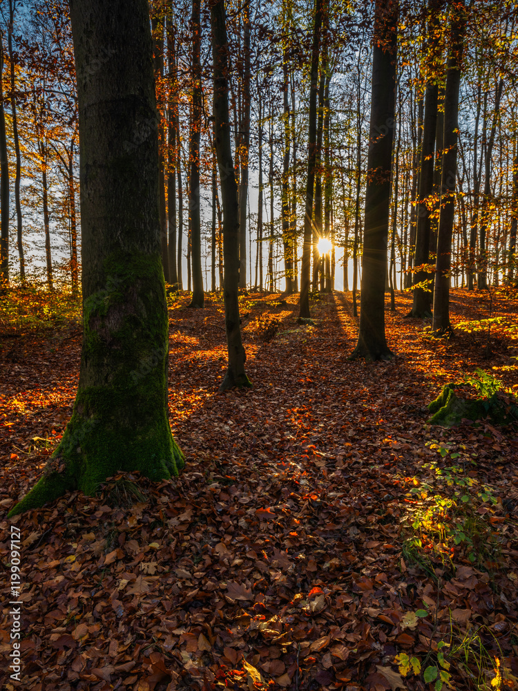 Fototapeta premium the shadow highway - die Schattenautobahn