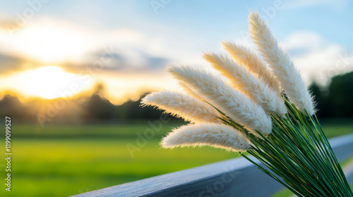 Sunlit pampas grass swaying gently by a wooden fence during sunset