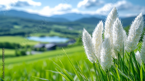 Beautiful white grass sways in the gentle breeze near a serene lake