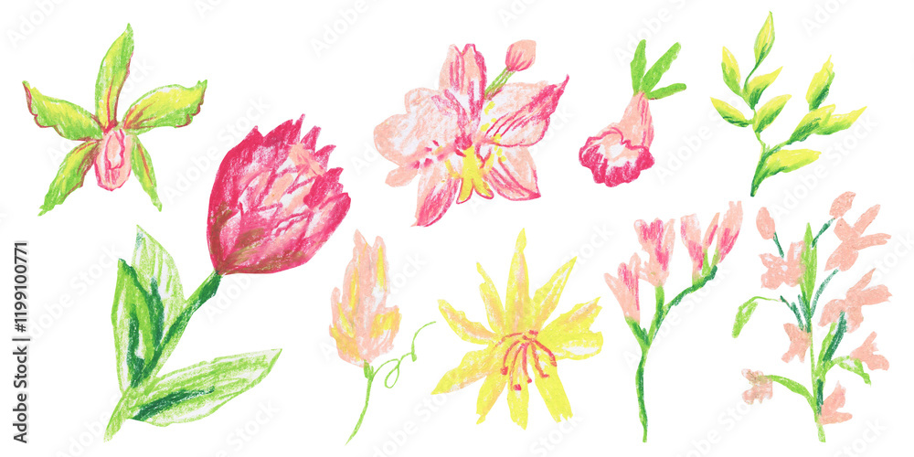 Fototapeta premium Clip art of bright tropical flowers and plants drawn with wax crayons on white isolated background. Children's botany collection of oil pastel illustrations. 
