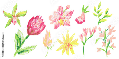 Clip art of bright tropical flowers and plants drawn with wax crayons on white isolated background. Children's botany collection of oil pastel illustrations. 