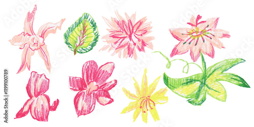 Clip art of bright tropical flowers and plants drawn with wax crayons on white isolated background. Children's botany collection of oil pastel illustrations. 