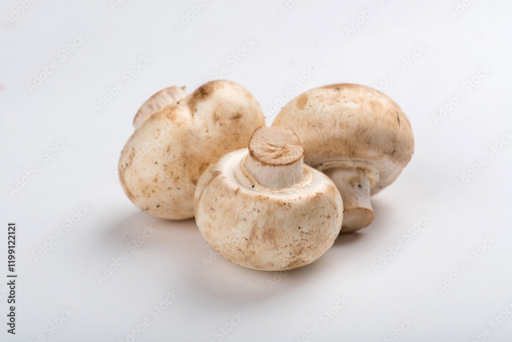 Champignon mushrooms isolated on white background Champignon mushrooms isolated on white background