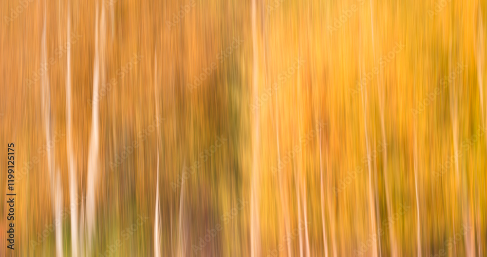 a blurry photo of trees with yellow leaves. The trees are tall and thin, and the leaves are vibrant and colorful. Scene is serene and peaceful, as the trees seem to be standing tall a blurry photo of trees with yellow leaves. The trees are tall and thin, and the leaves are vibrant and colorful. Scene is serene and peaceful, as the trees seem to be standing tall