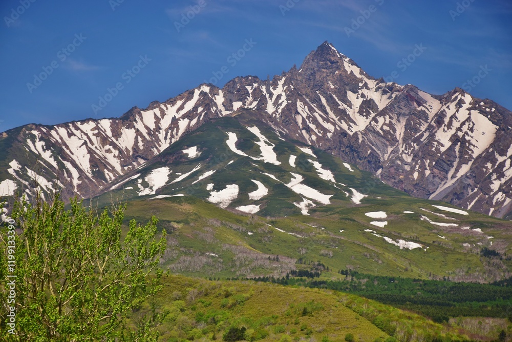 Fototapeta premium 利尻岳 新緑の季節